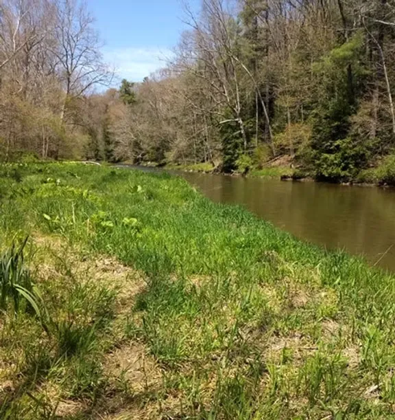 Hellbender Bluff Park · Columbiana County Park District