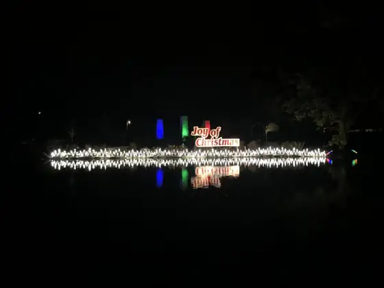 Joy of Christmas light display in Columbiana; capture date unknown